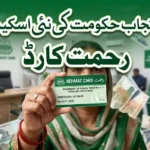 CM Punjab financial grant for bewa and Yateem child